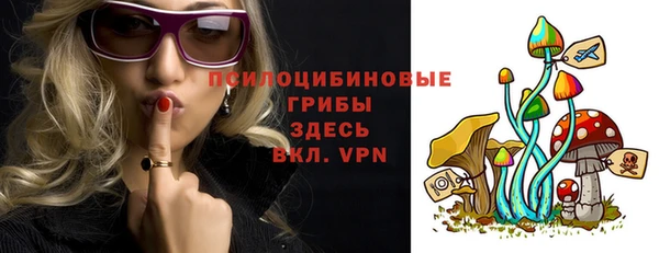 spice Дмитров