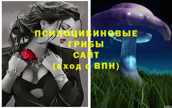 spice Дмитров